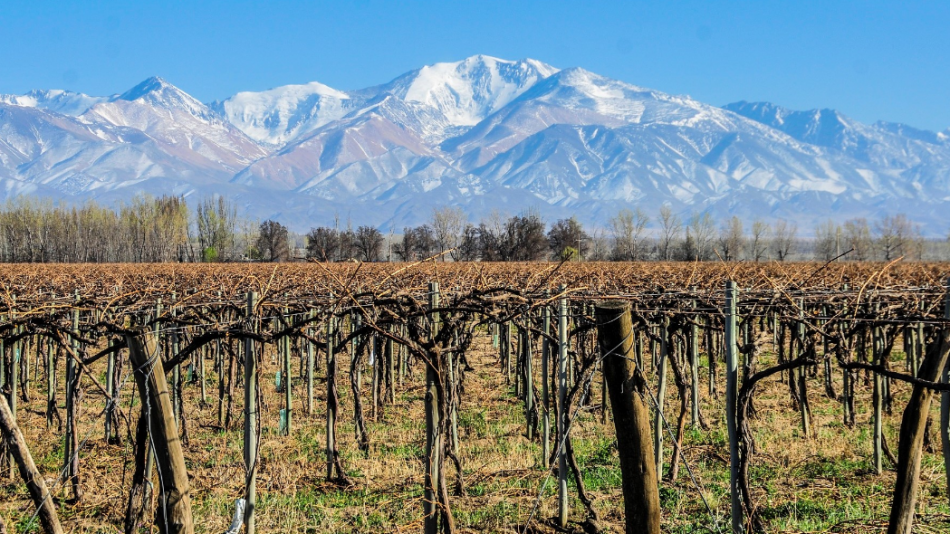 mendoza2