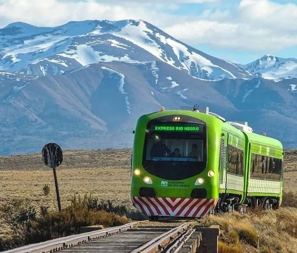tren patagonico