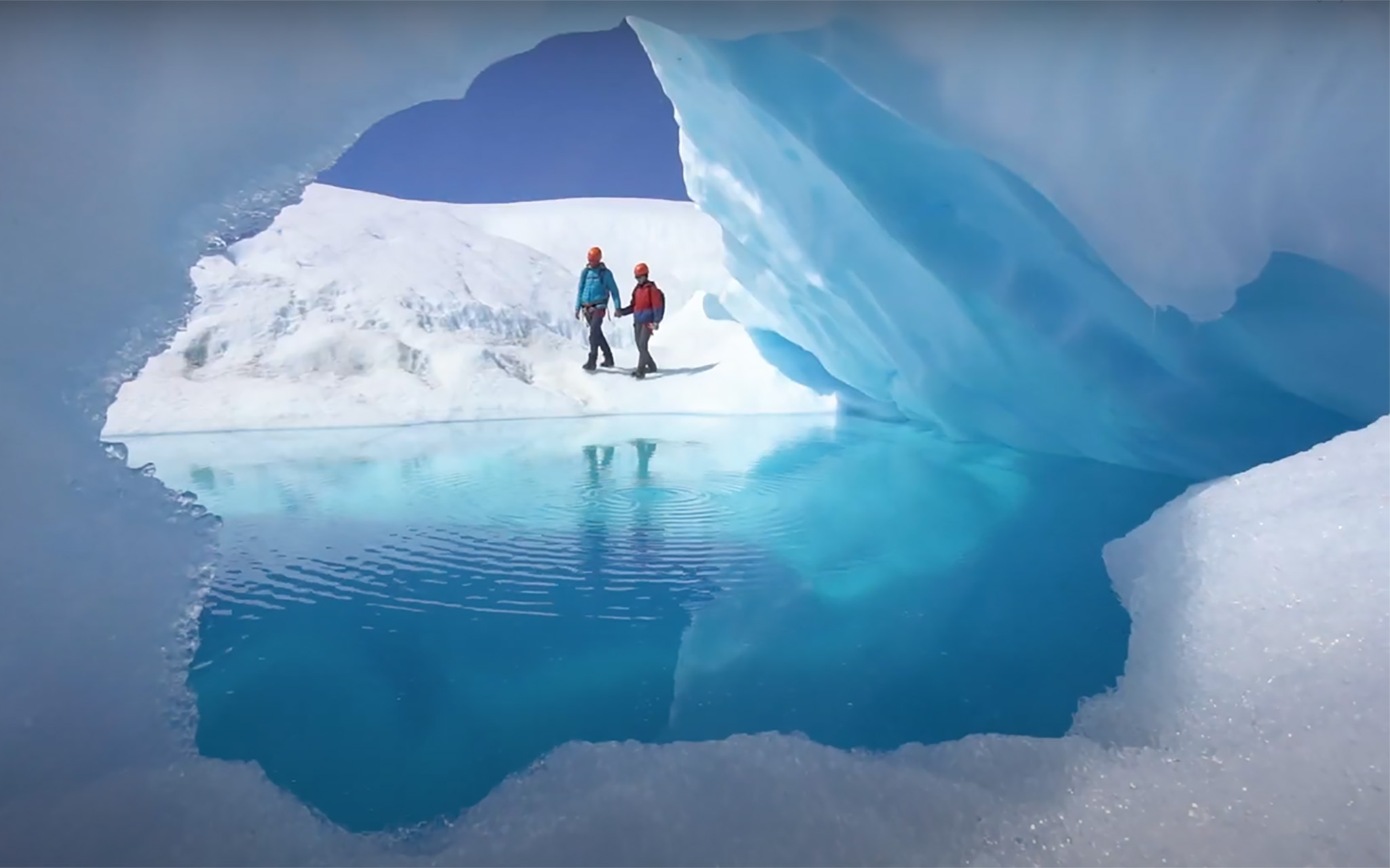 Calafate1