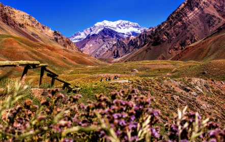 Mendoza1
