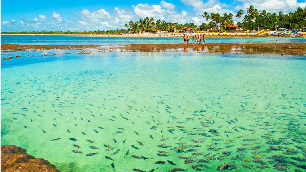 PORTO DE GALINHAS
