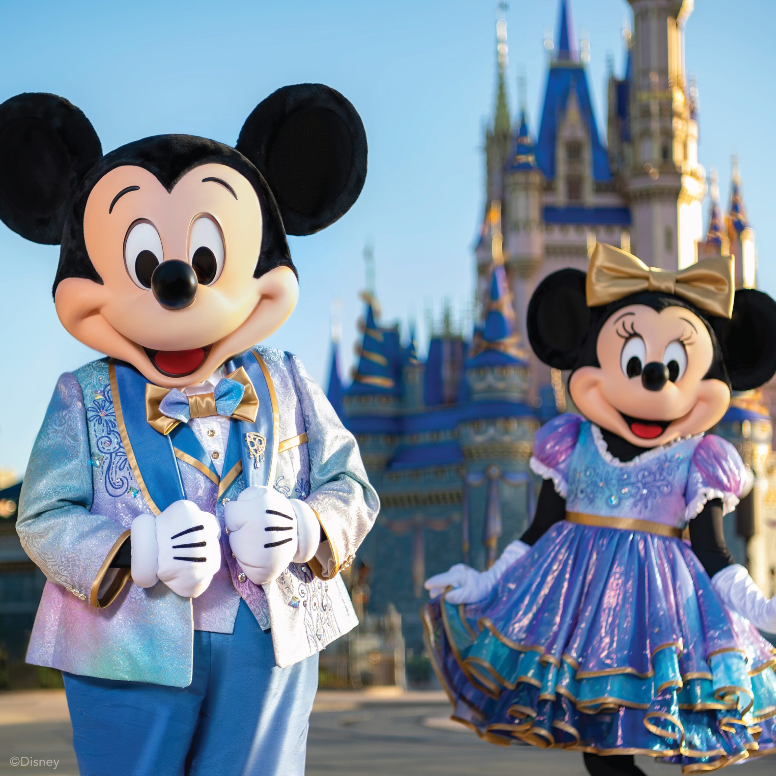 disney 6