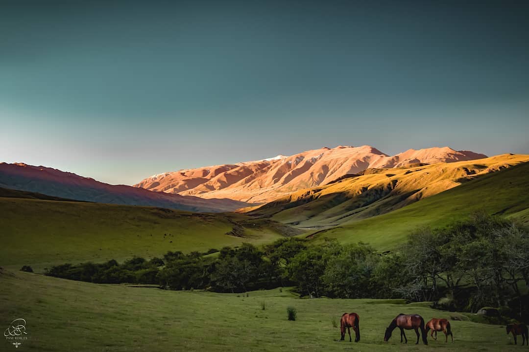 Tafi del valle