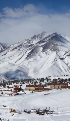 vac invierno nieve